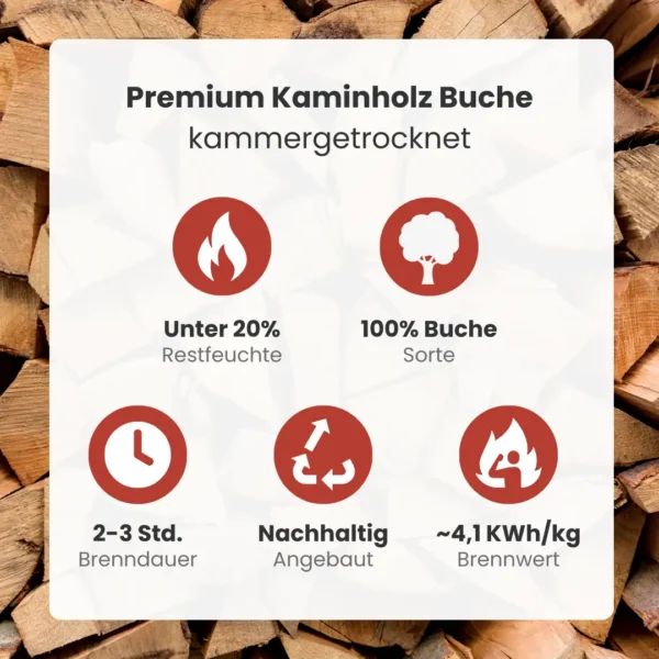 Kaminholz Buche kammergetrocknet | 1 RM ( Scheitlänge 25 cm ) - Image 2