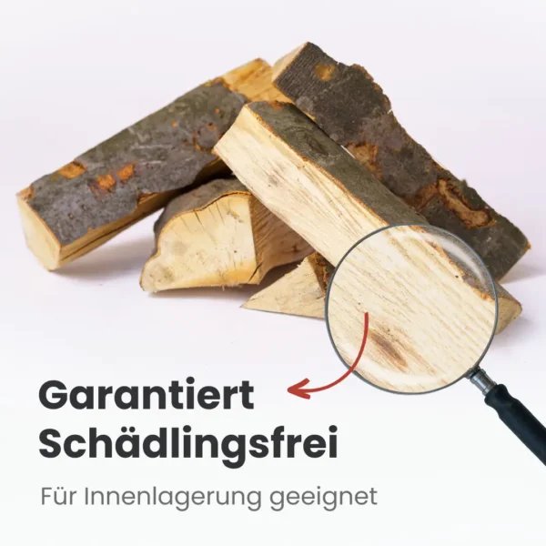 Kaminholz Buche kammergetrocknet | 1 RM ( Scheitlänge 25 cm ) - Image 4