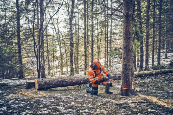 Husqvarna 562 XP® G Mark II / 45 - Image 4