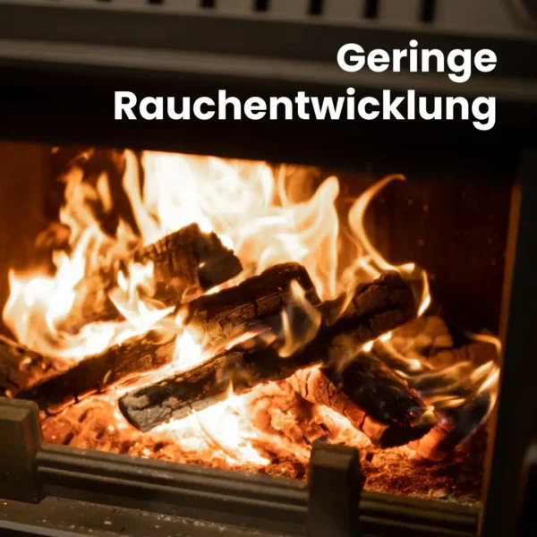 Kaminholz Buche kammergetrocknet | 1 RM ( Scheitlänge 25 cm ) - Image 8