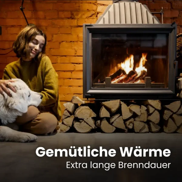 Kaminholz Buche kammergetrocknet | 1 RM ( Scheitlänge 25 cm ) - Image 9