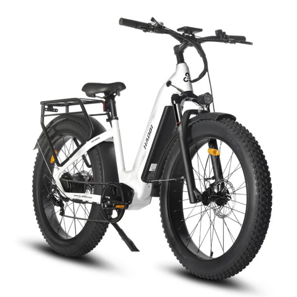 HAOQI EAGLE 1.0
