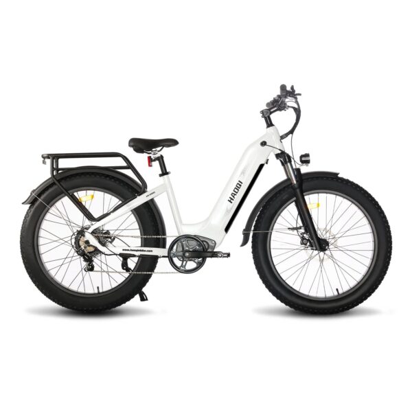HAOQI EAGLE 1.0 - Image 2