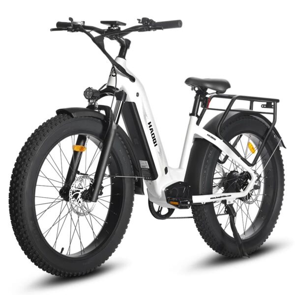 HAOQI EAGLE 1.0 - Image 3