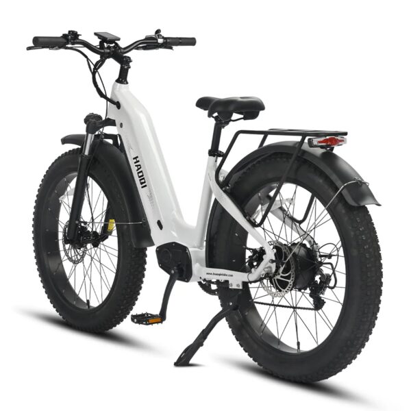 HAOQI EAGLE 1.0 - Image 4