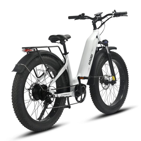 HAOQI EAGLE 1.0 - Image 5