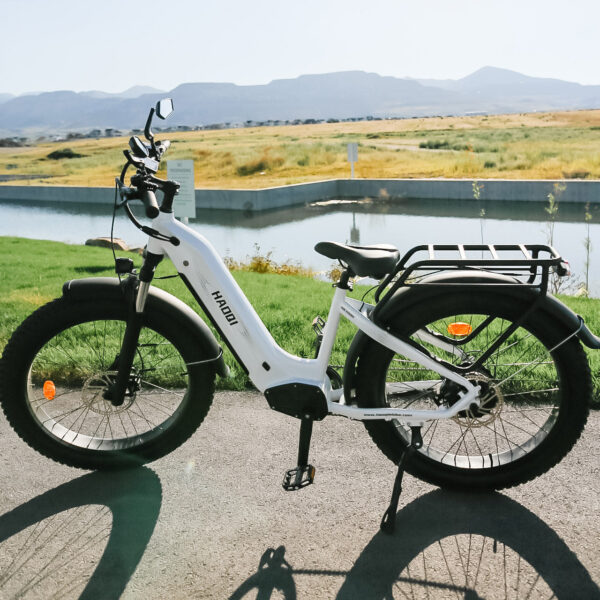 HAOQI EAGLE 1.0 - Image 8