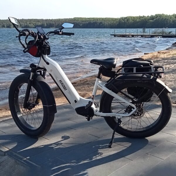 HAOQI EAGLE 1.0 - Image 9