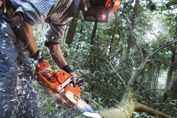 Husqvarna 555 / 45 – X-Torq - Image 3