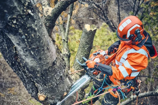 Husqvarna 560 XP® Mark II / 45 – Modell 2025 - Image 3