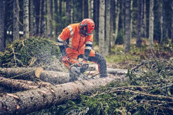 Husqvarna 560 XP® Mark II / 38 – X-Torq - Image 6