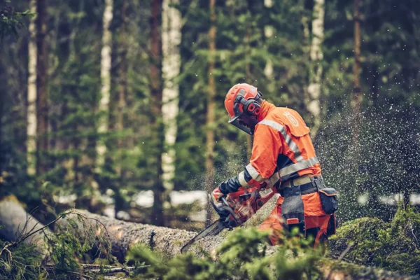 Husqvarna 560 XP® Mark II / 38 – X-Torq - Image 3