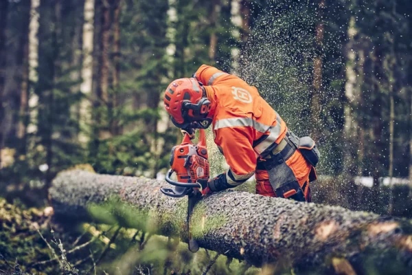 Husqvarna 560 XP® Mark II / 38 – X-Torq - Image 2