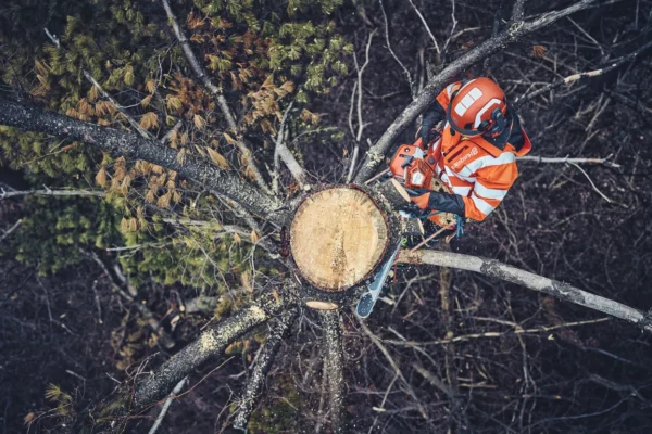Husqvarna 562 XP® Mark II / 45 - Image 5
