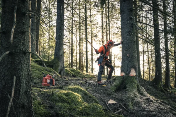 Husqvarna 572 XP / 45 – X-Torq - Image 2