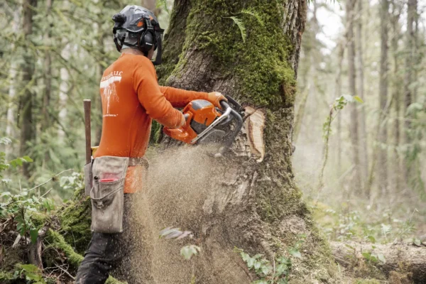 Husqvarna 592 XP® / 90 – X-Torq - Image 6