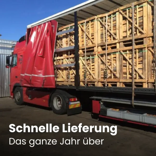 LKW Ladung Kaminholz Buche